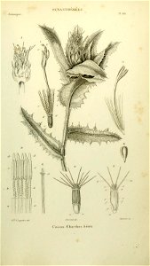 n204_w1150