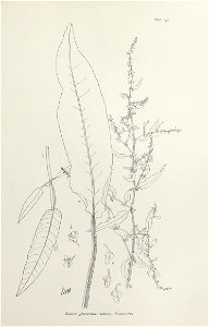 n304_w1150