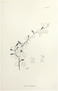 n184_w1150