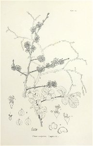 n214_w1150