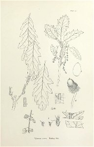 n154_w1150