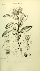 n194_w1150