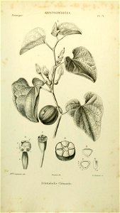 n218_w1150