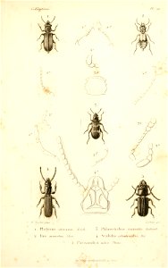 n94_w1150