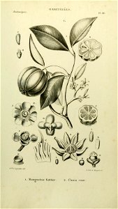 n156_w1150