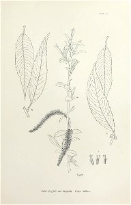 n52_w1150