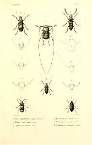 n212_w1150