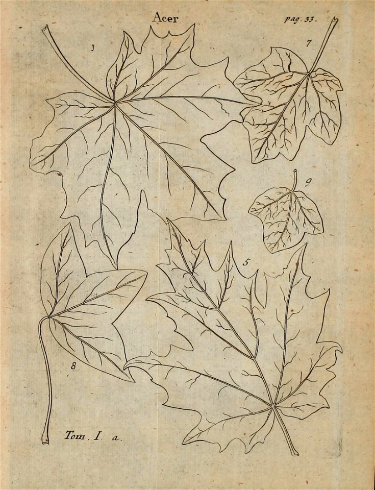 n356_w1150