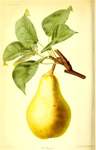 n457_w1150