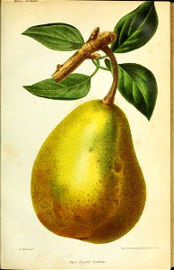 n186_w1150