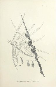 n130_w1150