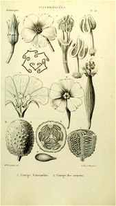 n172_w1150