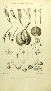 n112_w1150