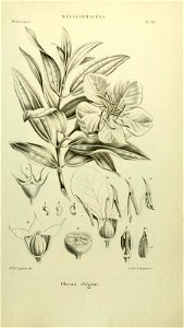 n136_w1150