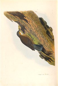 n127_w1150