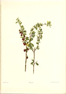 n114_w1150