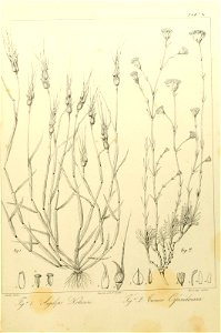 n116_w1150
