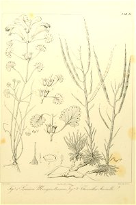 n114_w1150