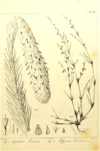 n112_w1150