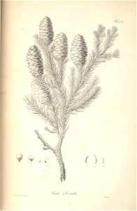 n128_w1150