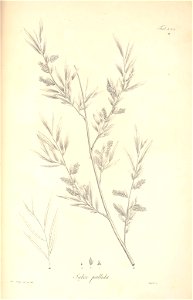 n83_w1150