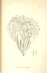 n127_w1150