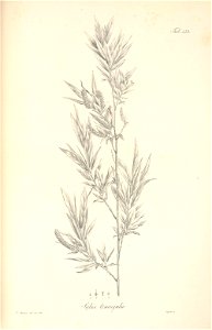 n82_w1150