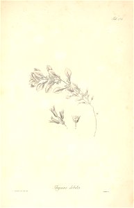 n67_w1150
