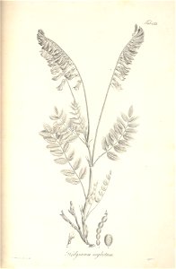 n111_w1150