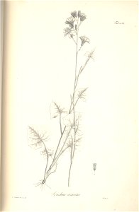 n125_w1150
