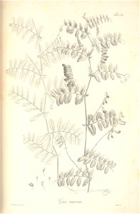 n110_w1150