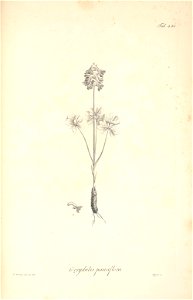 n79_w1150