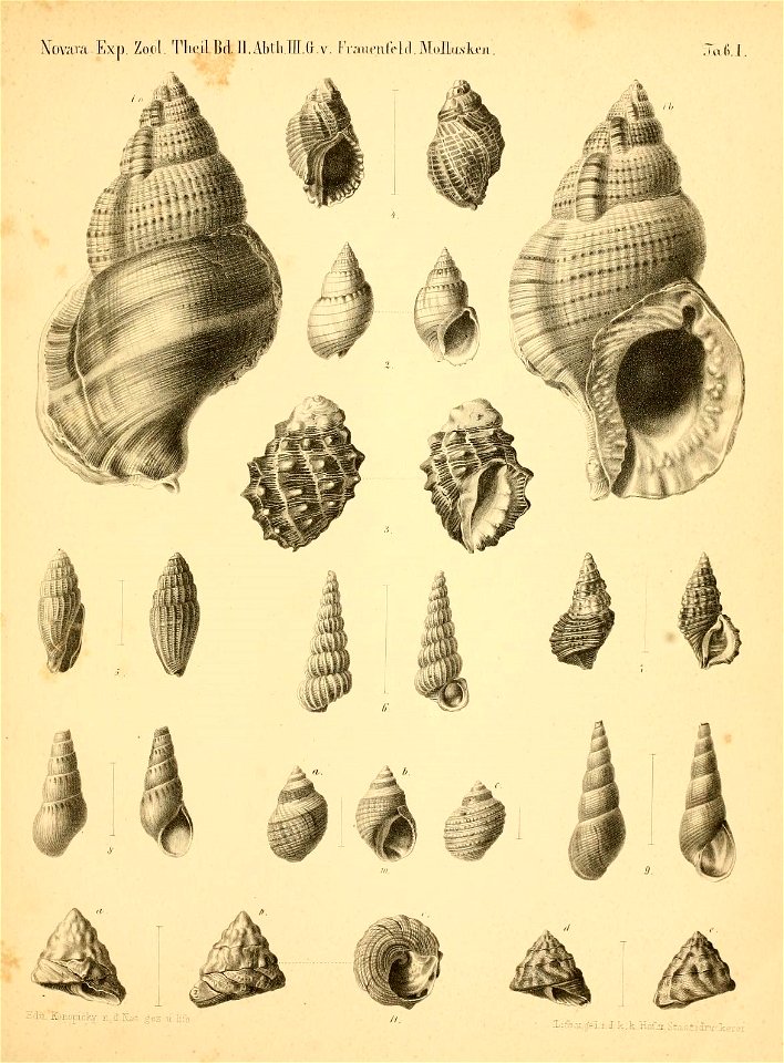 n472_w1150