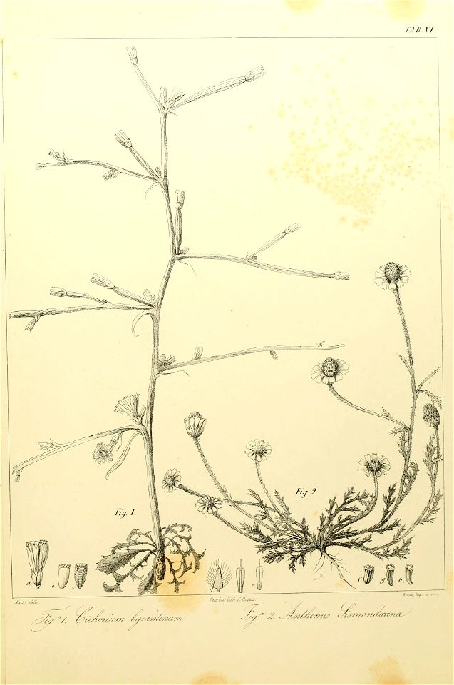 n118_w1150
