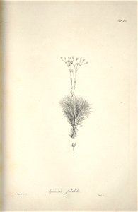 n257_w1150