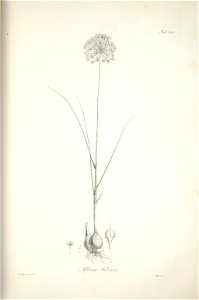 n212_w1150