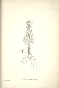 n197_w1150