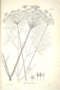 n167_w1150