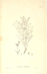 n43_w1150