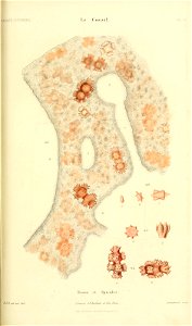 n414_w1150