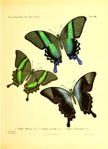 n86_w1150