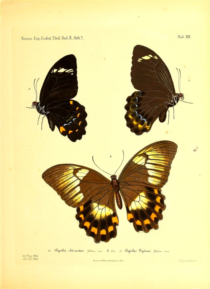 n82_w1150