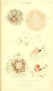 n436_w1150