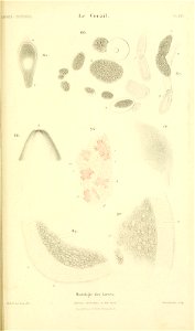 n434_w1150