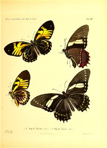 n78_w1150