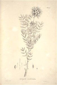 n125_w1150
