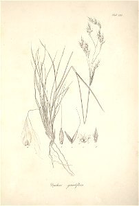 n50_w1150