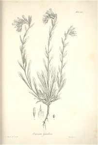 n109_w1150