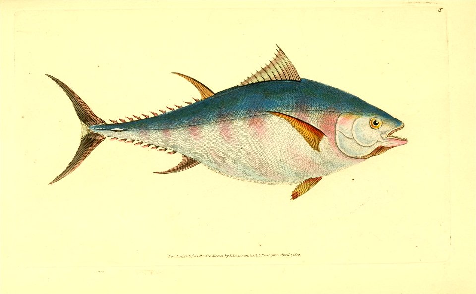 n12_w1150