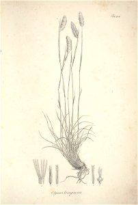 n79_w1150